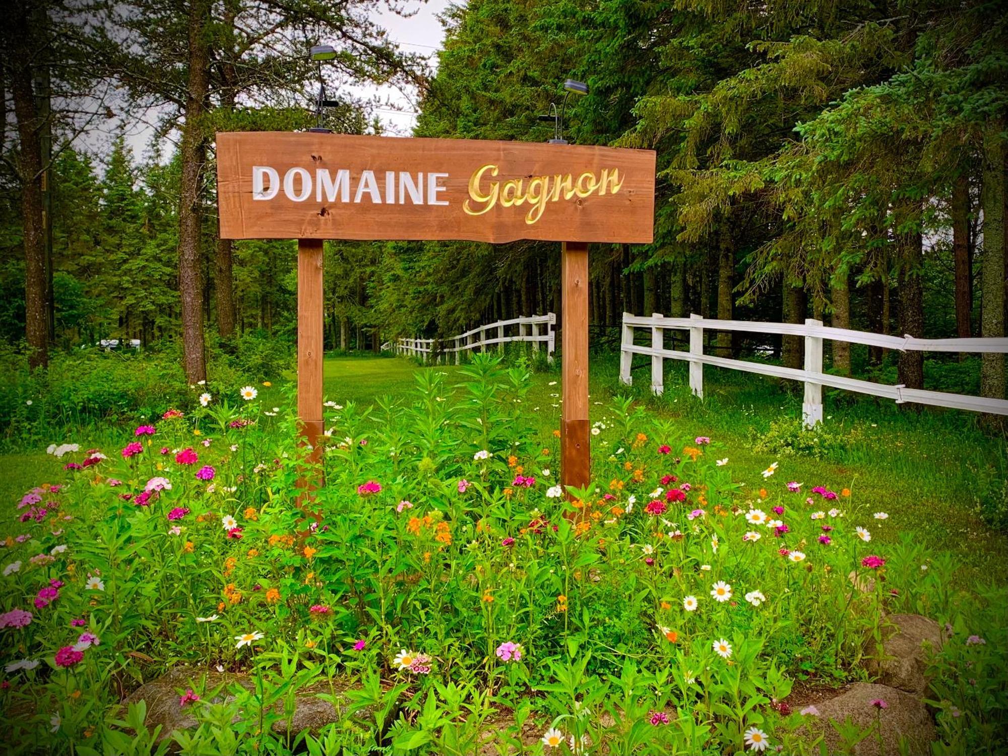 Vila Domaine Gagnon Saint Sebastien Exteriér fotografie