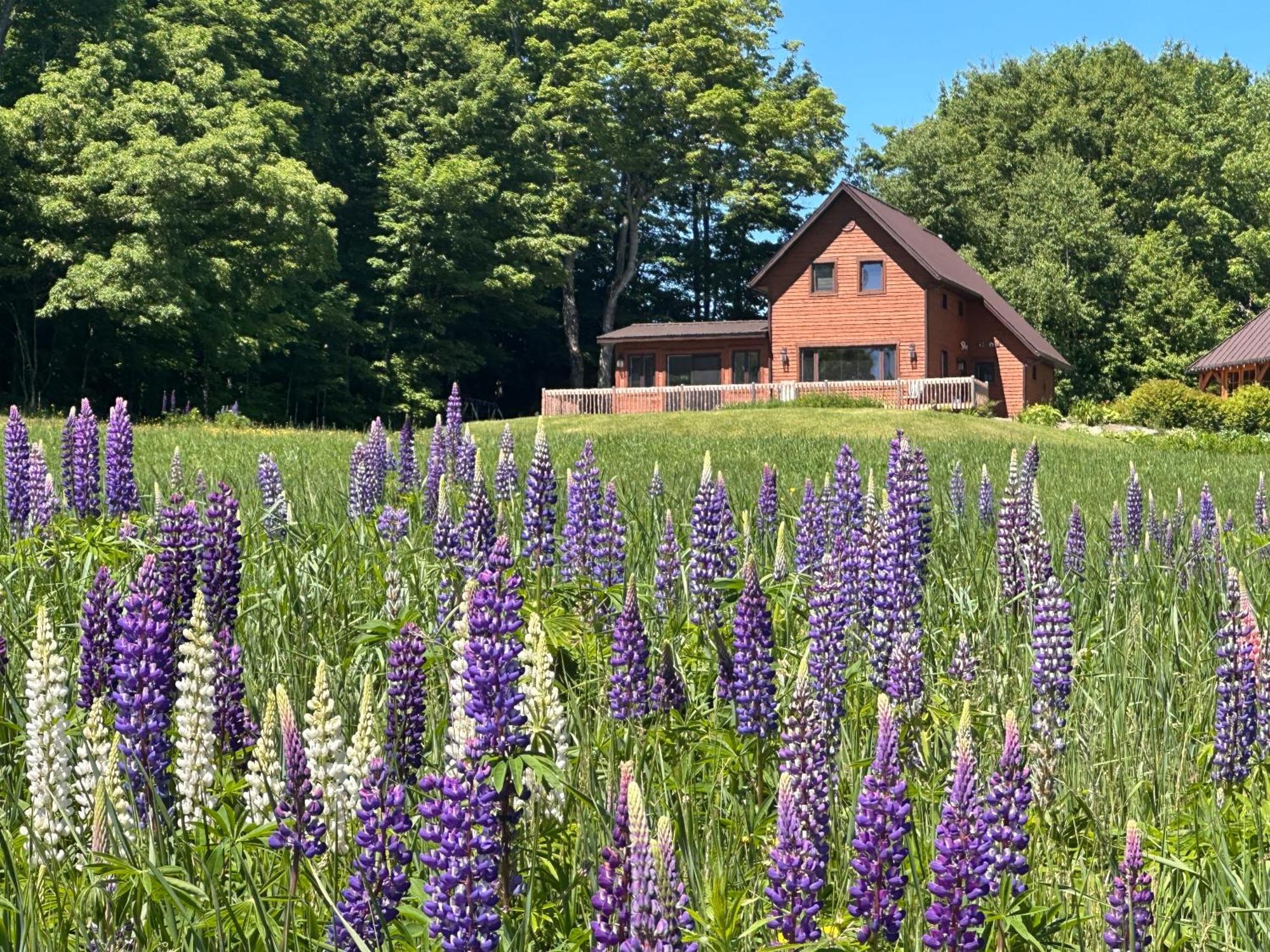 Vila Domaine Gagnon Saint Sebastien Exteriér fotografie